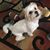 Susan Chrislip's profile image