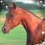 Kathy Speck's profile image