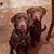 Tosha Post's profile image