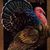 Joyce Herdman's profile image