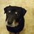 Linda Blue's profile image