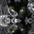 Stephanie Halbert's profile image