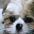 Jackie Sly's profile image