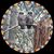 Marlynn Shipp's profile image