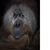 J Jeffrey Egan's profile image