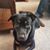 Valerie Hatley's profile image