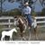 Linda DoughertyTwo's profile image
