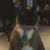 Larie Anne Hutson's profile image