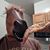 Matthew Van Donsel's profile image