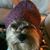 Basil Bisou Sawa's profile image