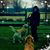 Teri Lammers's profile image