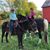 Becky Hinson Tucker's profile image
