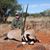 Darren Burks's profile image