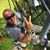 Mike Mosher's profile image