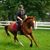 Jamie Hassing-Pierce's profile image