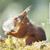 Susan Barwick's profile image