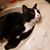 Sheri Kali Reed's profile image