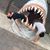 Jordan Lynn Maitlen's profile image