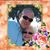 Kelly Donlon Vance's profile image