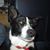 Erin Fleser's profile image