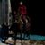 Darlene Nelson's profile image