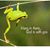 Kathy Corrao Pierce's profile image