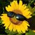 August Jones Carnes's profile image