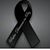 Noe Molina's profile image