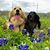 Shelley Pavero's profile image