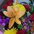 Rachel Jackson's profile image