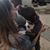 Diane McIntire Dinsmore's profile image
