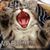 Kathy Lessard's profile image