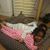 Shineka Miller's profile image