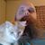 Jeremy Farr's profile image