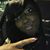 Nicole Arnold's profile image