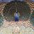 Wendy Buckmaster's profile image