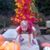 Wayne Rock's profile image