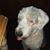 Bob Novatnak's profile image
