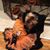 Carolyn Cassetty's profile image