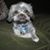 Lexi Dubes Carrington's profile image