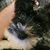 Jon-Wesley Dale O'Hara's profile image