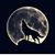 Steven Timm's profile image