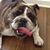 Charlie Warren's profile image