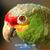 Dan Gwinn's profile image