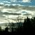Sheri Todd's profile image