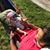 Sergio Zevallos's profile image