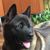 Audrey Mayrent's profile image