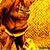 Timothy J. Watts's profile image