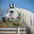 Marla Jackson's profile image
