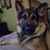 Ray Tucci's profile image